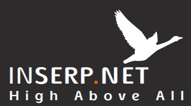 inSERP.net - seo specialists